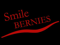 Smile Bernies Logo