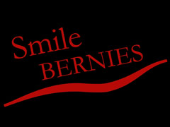 Smile Bernies in Erfurt Smile Bernies Logo